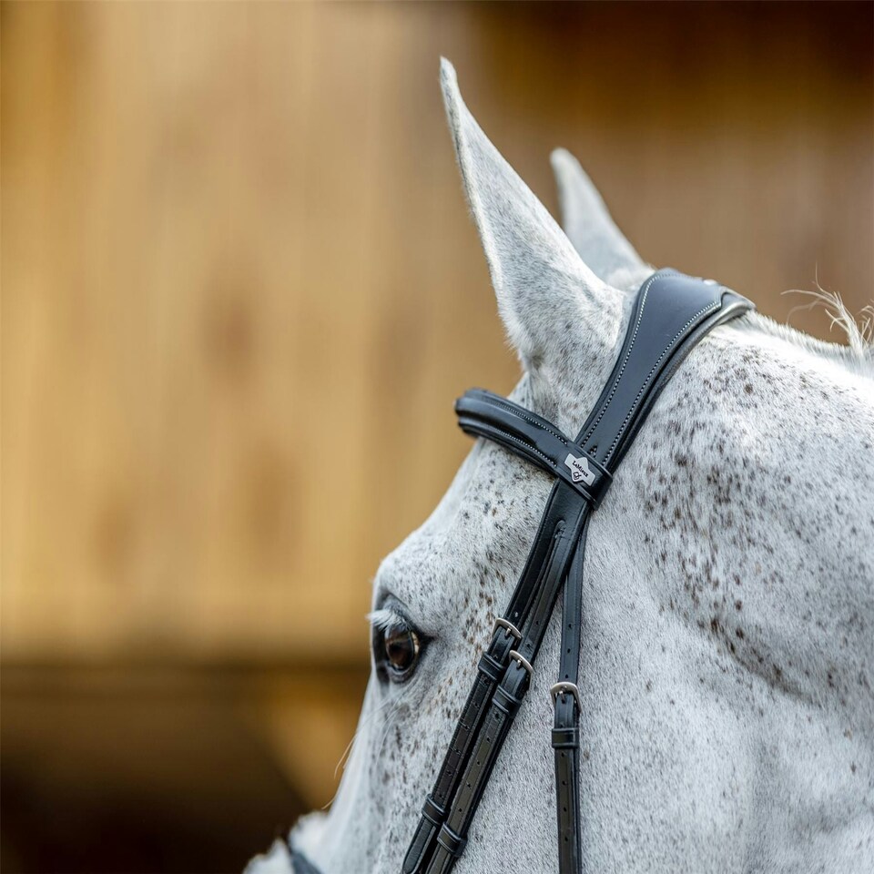image 1 of LeMieux Grackle Bridle Black | Full