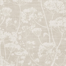 Grandeco Cow Parsley Organic Foliage Trail Wallpaper, Natural Taupe | Brown | Natural | 5.32