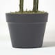 image 3 of Homescapes Areca Palm Tree in Pot, 120 cm Tall