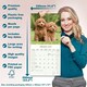image 6 of Poodle 2026 Calendar | Square Wall Calendar | Dog Breed Gift | Plastic Free Packaging | by Avonside Publishing