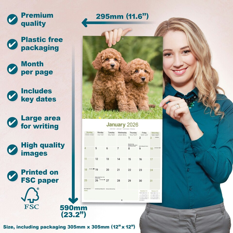 image 1 of Poodle 2026 Calendar | Square Wall Calendar | Dog Breed Gift | Plastic Free Packaging | by Avonside Publishing