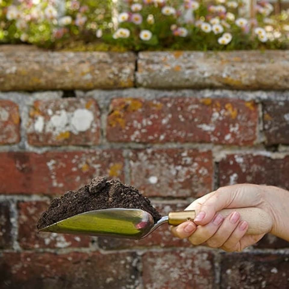 image 1 of Burgon & Ball Sophie Conran Trowel Gift Boxed