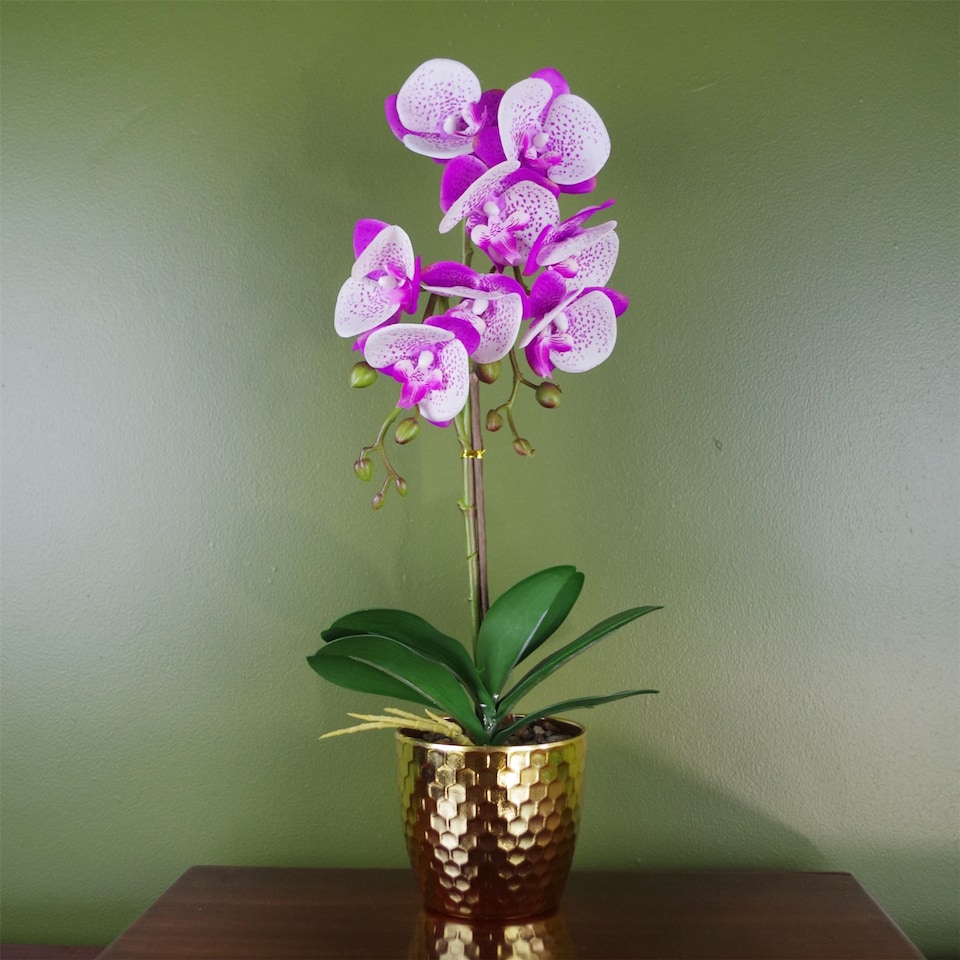 image 1 of Orchid Artificial Purple White 50cm Gold Pot Phalaenopsis Botanik