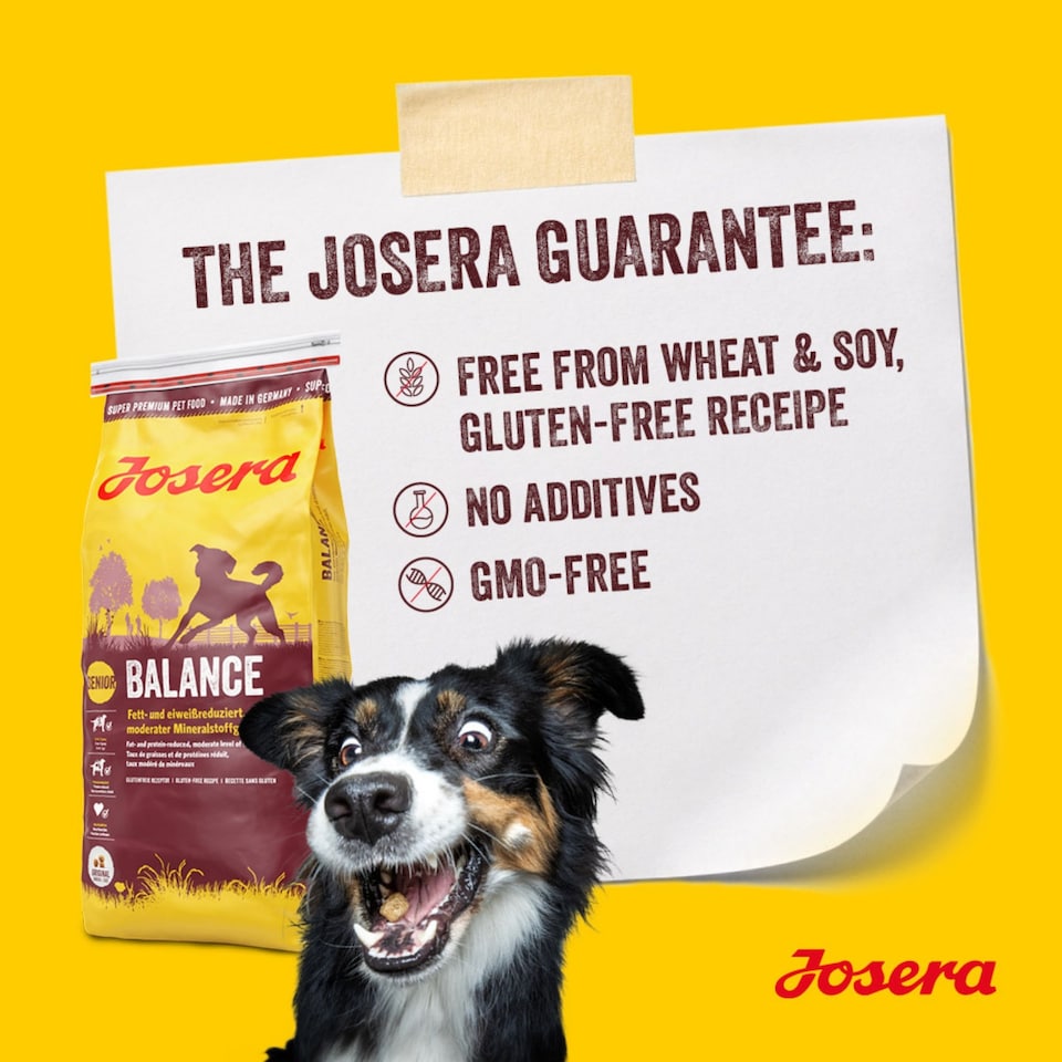 image 1 of Josera Senior Balance complete dry dog food | For older or less active dogs | Lower protein | Reduced fat | Gluten-free | Cardiac & Joint support | 5x0.9kg