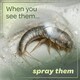 image 5 of Inoscent Flea Spray for the Home (5L with Pressure Sprayer) - For Carpets, Pet Bedding & Soft Furnishings - Pet & Family Safe