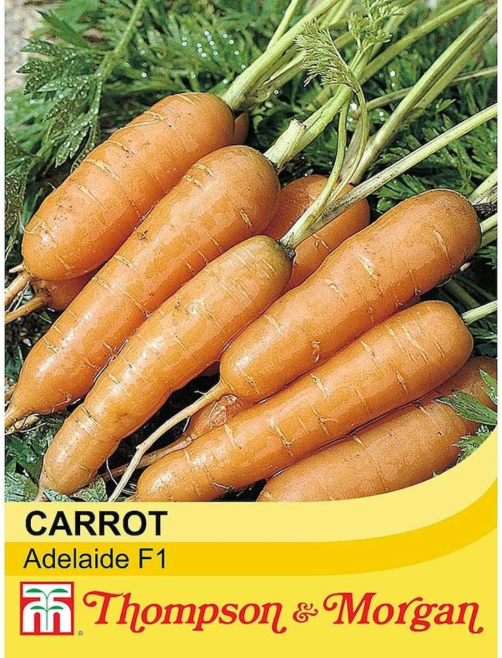image 1 of Carrot Adelaide F1 Hybrid 1 Seed Packet (400 Seeds)