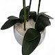 image 5 of 60cm Orchid Artificial White - Marble Effect  Ceramic Planter