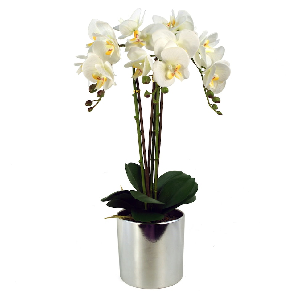 image 1 of Artificial Orchid Large White Silver 52cm