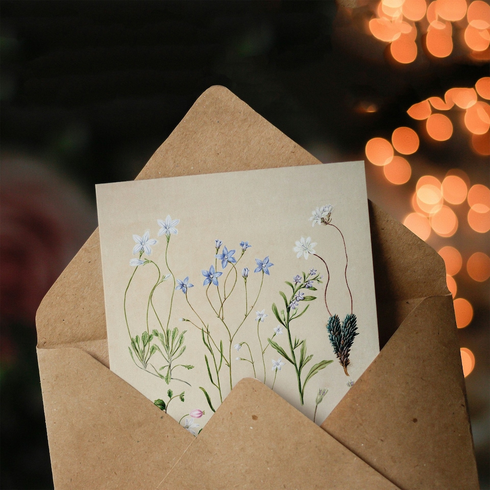 image 1 of Sarah Featon Art Card New Zealand Perennial Wild Flowers