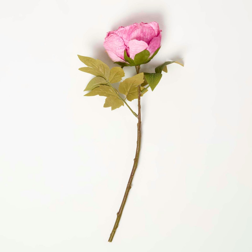 image 1 of Homescapes Artificial Stem of Dried Pink Peony Flowers, 48 cm