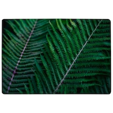 green leaves, abstract flora texture (Rug) Green | M