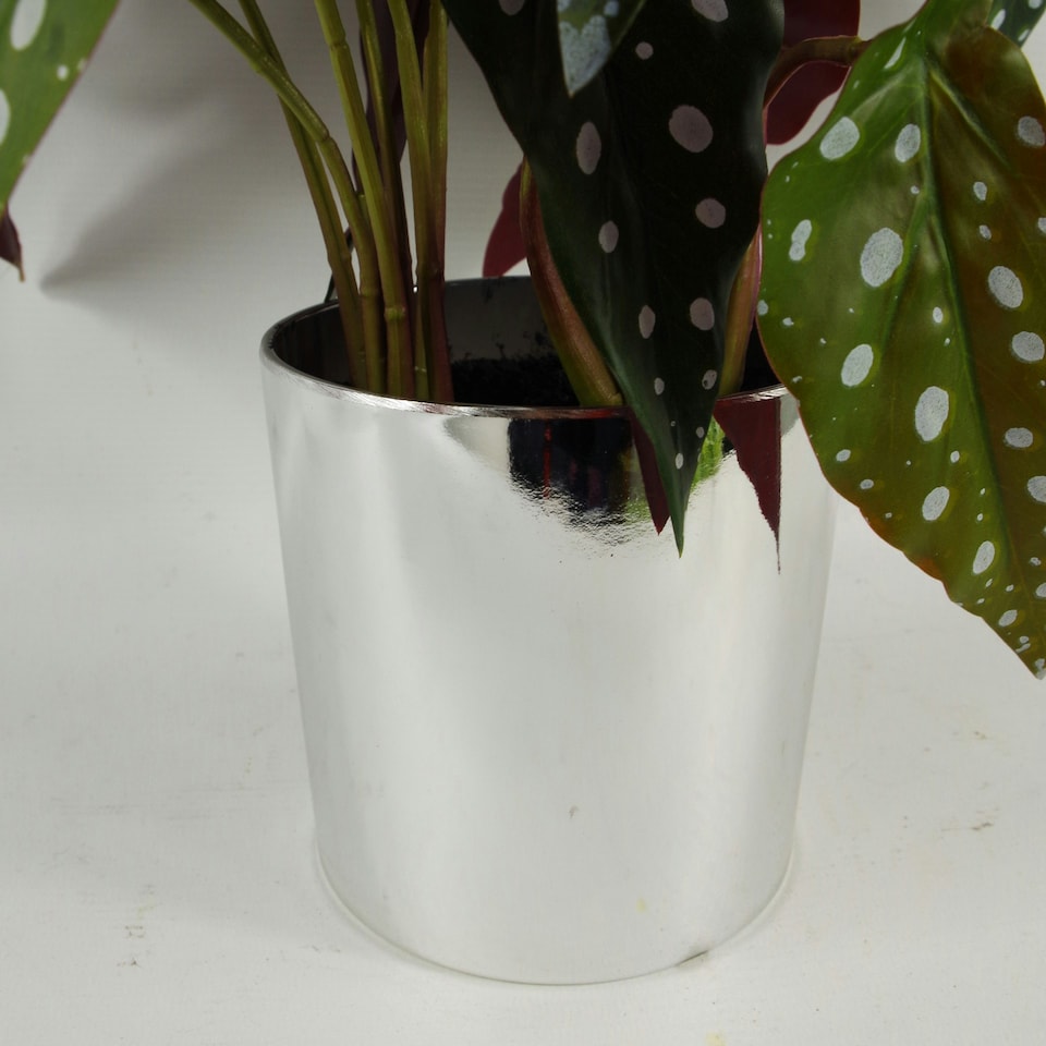 image 1 of 40cm Artificial Spotty Begonia Maculata Plant