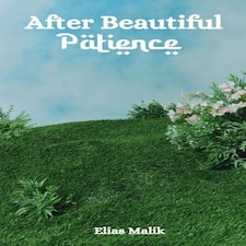 After Beautiful Patience Paperback Book
