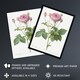 image 2 of Gallic Rose Flower Illustration Redoute Vintage Wall Art Poster Print 12X16"