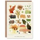 image 1 of William Saville Kent Art Card Great Barrier Reef Corals Illustration