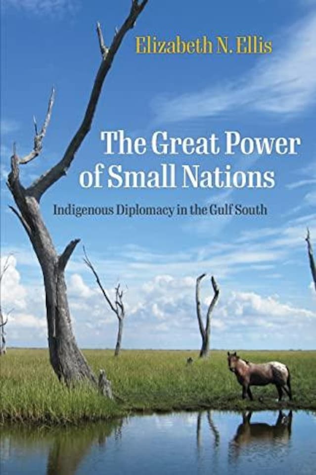 The Great Power of Small Nations Paperback Book