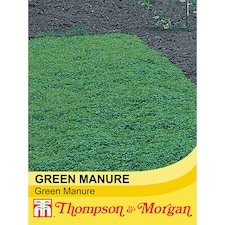 Green Manure 1 Seed Packet - Thompson & Morgan