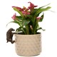 image 2 of Cocker Spaniel Plant Pot Hanger - L11 x W6 x H5.5 cm