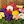 White, Yellow, Pink, Orange, Red