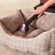 image 7 of Morphy Richards MRXWASHMAX DualClean Carpet Washer