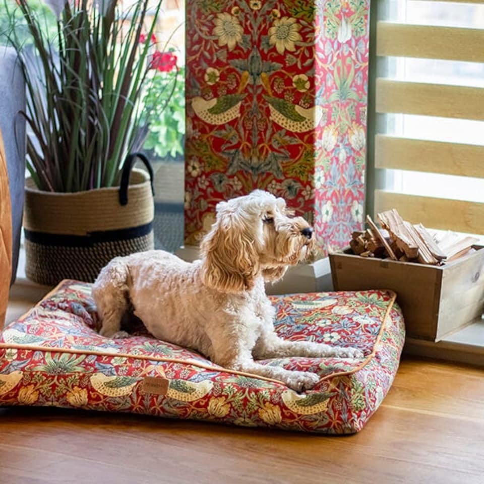 image 1 of Morris & Co Strawberry Thief Burgundy Medium Dog Mattress
