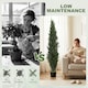 image 4 of HOMCOM Set of 2 Decorative Artificial Plants Cypress in Weighted Pot, 150cm