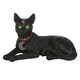 image 1 of Something Different Laying Black Cat Figurine - Black/Green - One Size