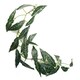 image 5 of 6 x 110cm Artificial Hanging Trailing Dark Green Leaf Plant