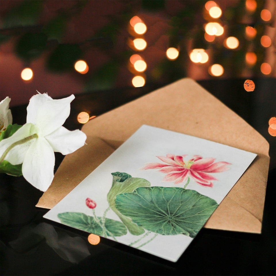 image 1 of Megata Morikaga Art Card Blooming Lotus Flower Botanical