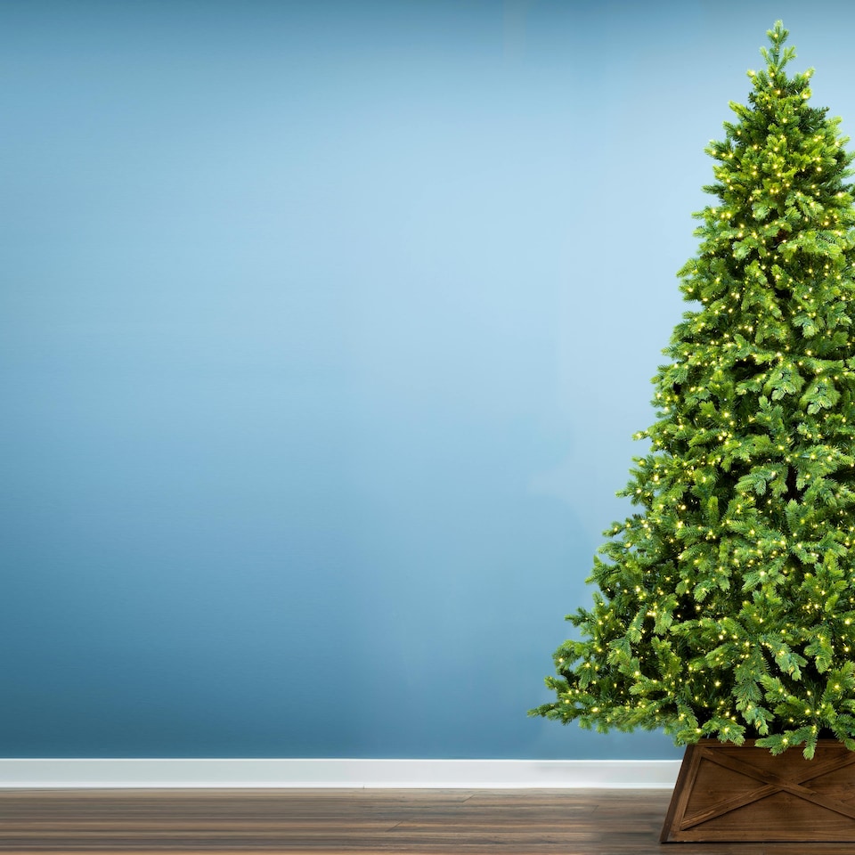 image 1 of Christmas Tree World  1.5m Vanda Verde Fir Christmas Tree
