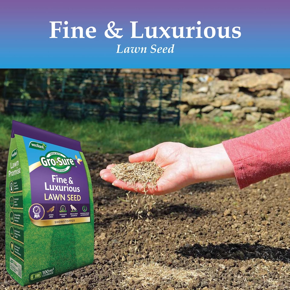 image 1 of Westland Gro-Sure Fine & Luxurious Lawn Seed 100 square Metre Bag Fine Bladed Grass Seed for Thick Soft Green Lawn New or Patch Repair