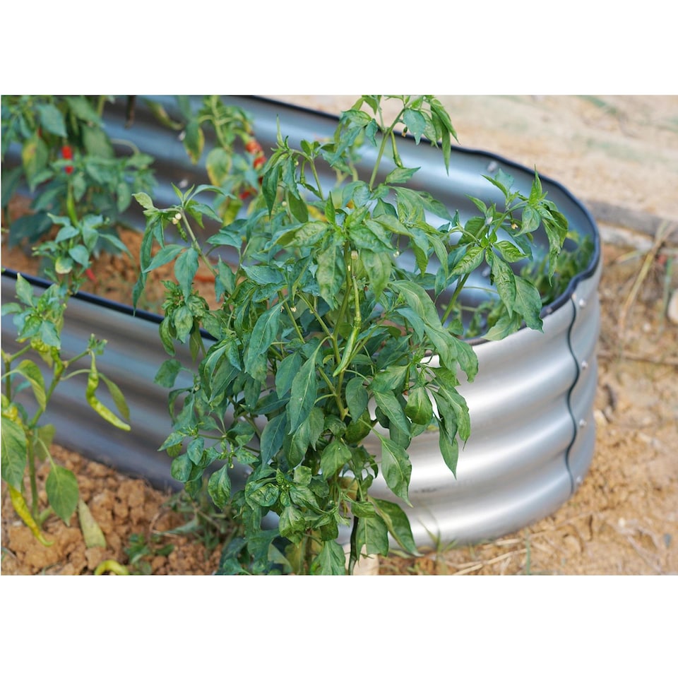 image 1 of Gr8 Garden Outdoor Raised Bed Planter Oval Galvanised Steel Trough Box 120x61x30cm