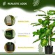 image 9 of HOMCOM 95cm Artificial Evergreen Tree Fake Plant in Pot Indoor Decor