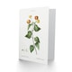 image 2 of Pierre-Joseph Redouté Art Card Lantana Plant Vintage Botanical