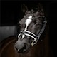 image 3 of LeMieux Kudos Patent Dressage Bridle White | Pony