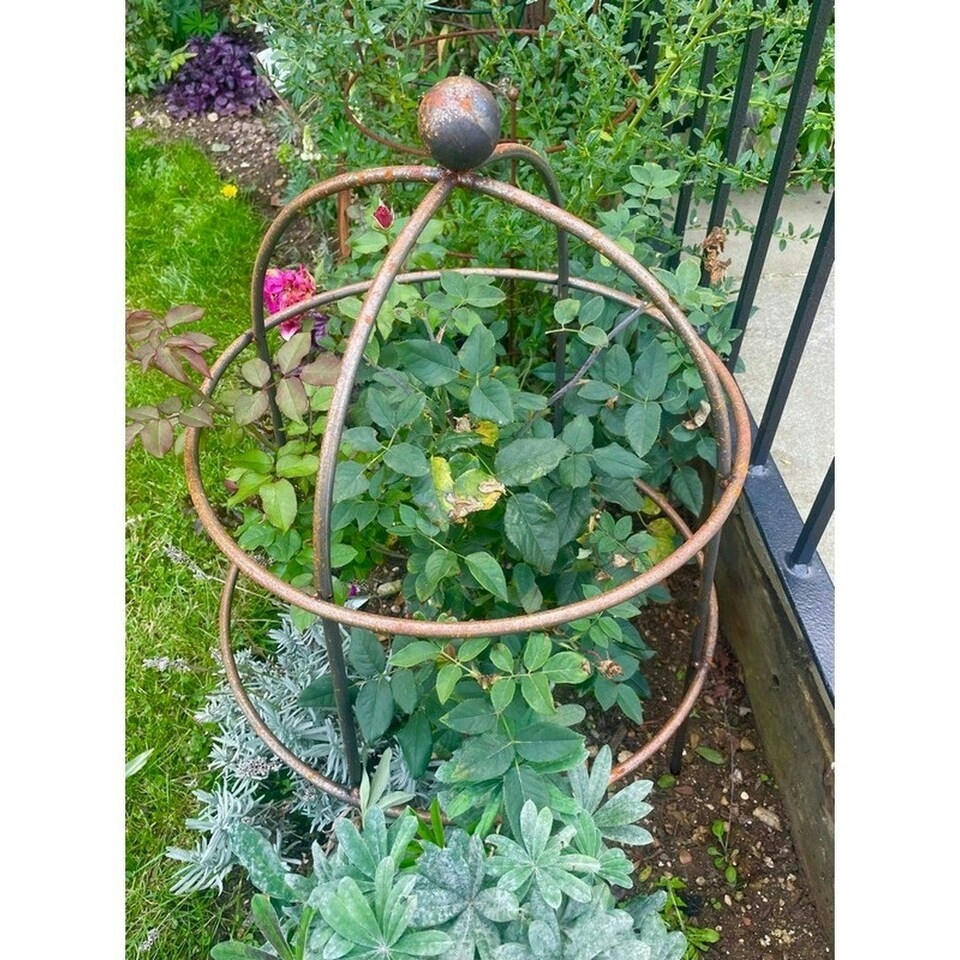 image 1 of Chelsea Range (Small) Cloche Plant Support - L49.5 x W49.5 x H69.6 cm - Bare Metal/Ready to Rust