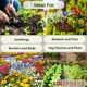 image 4 of Bulk Dumpy Bag Premium Vegetable Top Soil