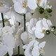 image 3 of 60cm Orchid Artificial White - Marble Effect  Ceramic Planter