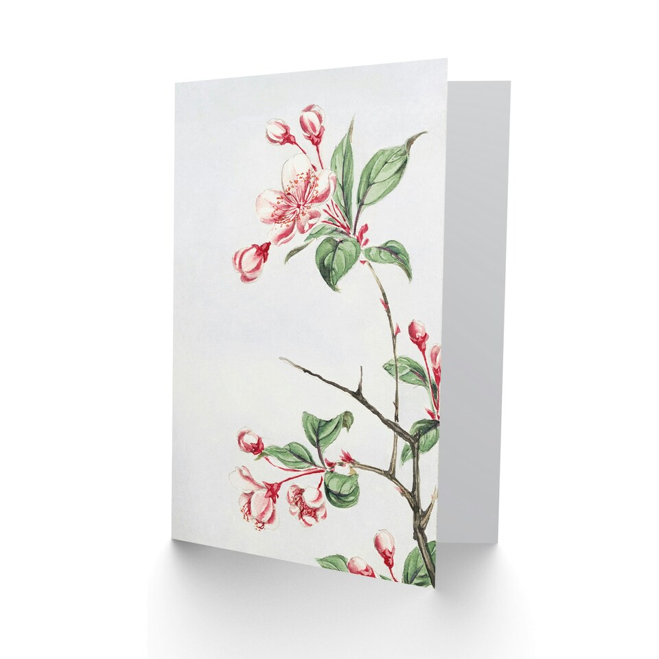 image 1 of Megata Morikaga Japanese Art Card Kaido Crabapple Flower Bloom