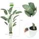 image 7 of Artificial Plant Bird of Paradise Tree Indoor House plant 140cm | Multi | Multi