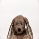 image 8 of Warmies Plush Brown Bunny Microwavable LARGE