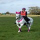 image 3 of Woof Wear Hi Vis Riding Vest (Not Certified) Pink | Size: Medium
Colour: Hi Viz Pink