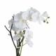 image 2 of Orchid in Stone Pot Artificial Flower - Plastic - L46 x W46 x H70 cm - White