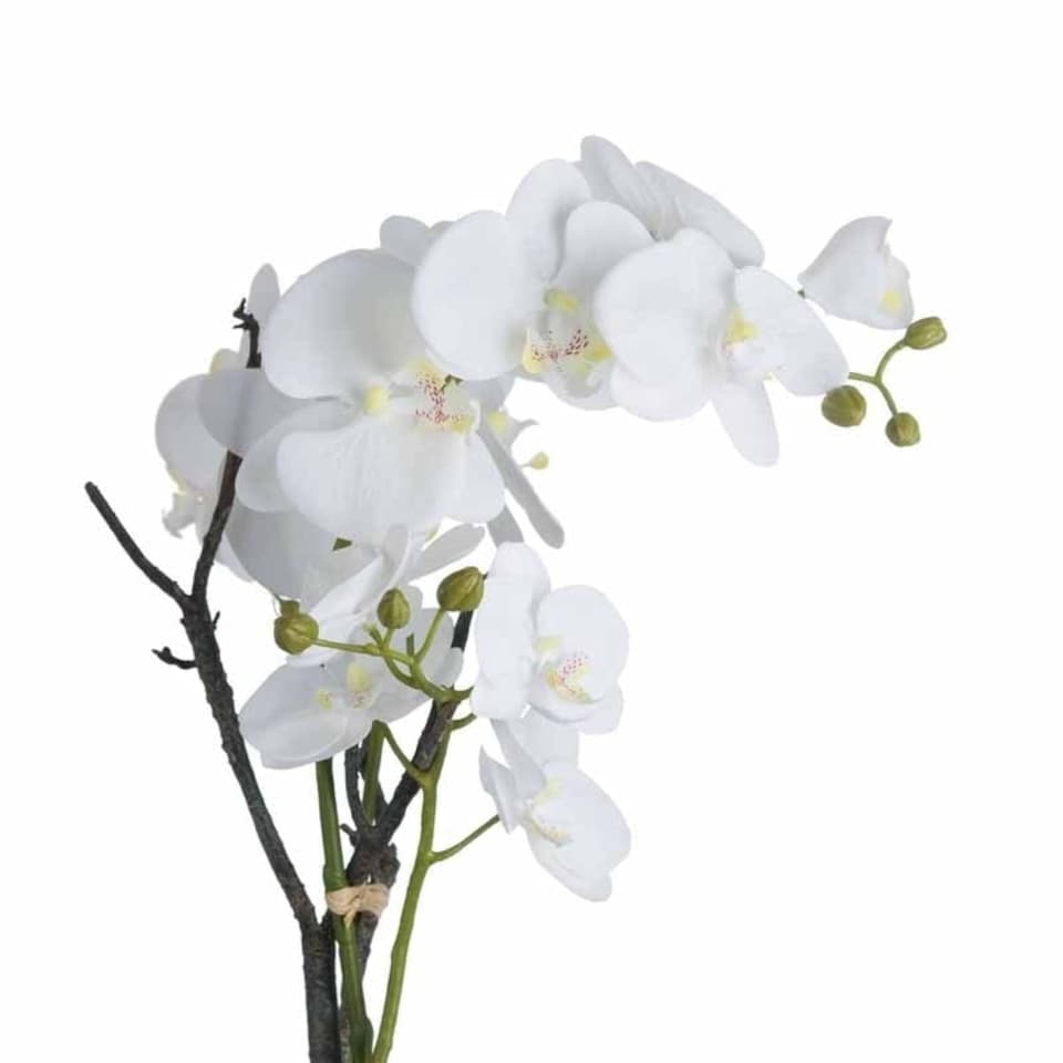 image 1 of Orchid in Stone Pot Artificial Flower - Plastic - L46 x W46 x H70 cm - White