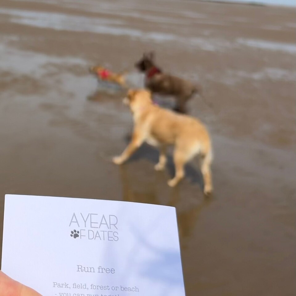 image 1 of Personalised Dates With Your Dog(s) Valentines Day gift