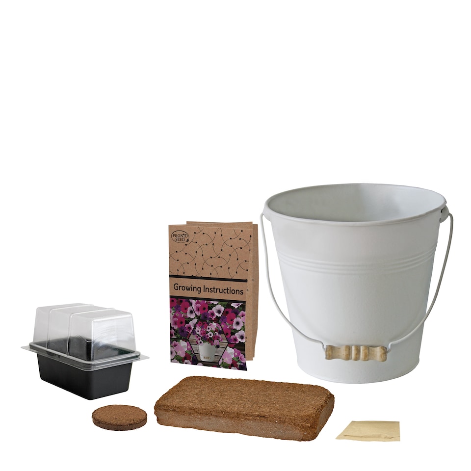 image 1 of Pronto Seed Petunia Grow Your Own Kit with Decorative Bucket Planter - Colourama Mix | Multi | Petunia Bucket | 1