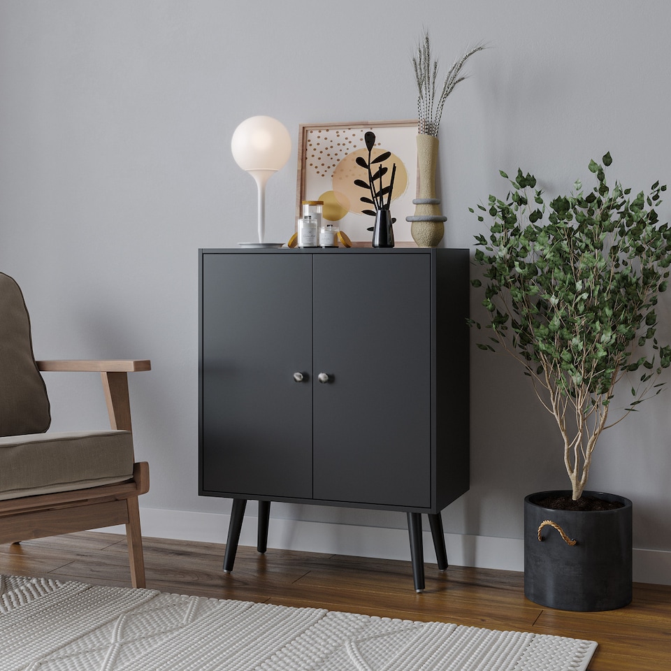 image 1 of Black 2-Tier 2-Door Wooden Cabinet With Legs | Black | Black & Black | 0 x 0 x 0 | 1