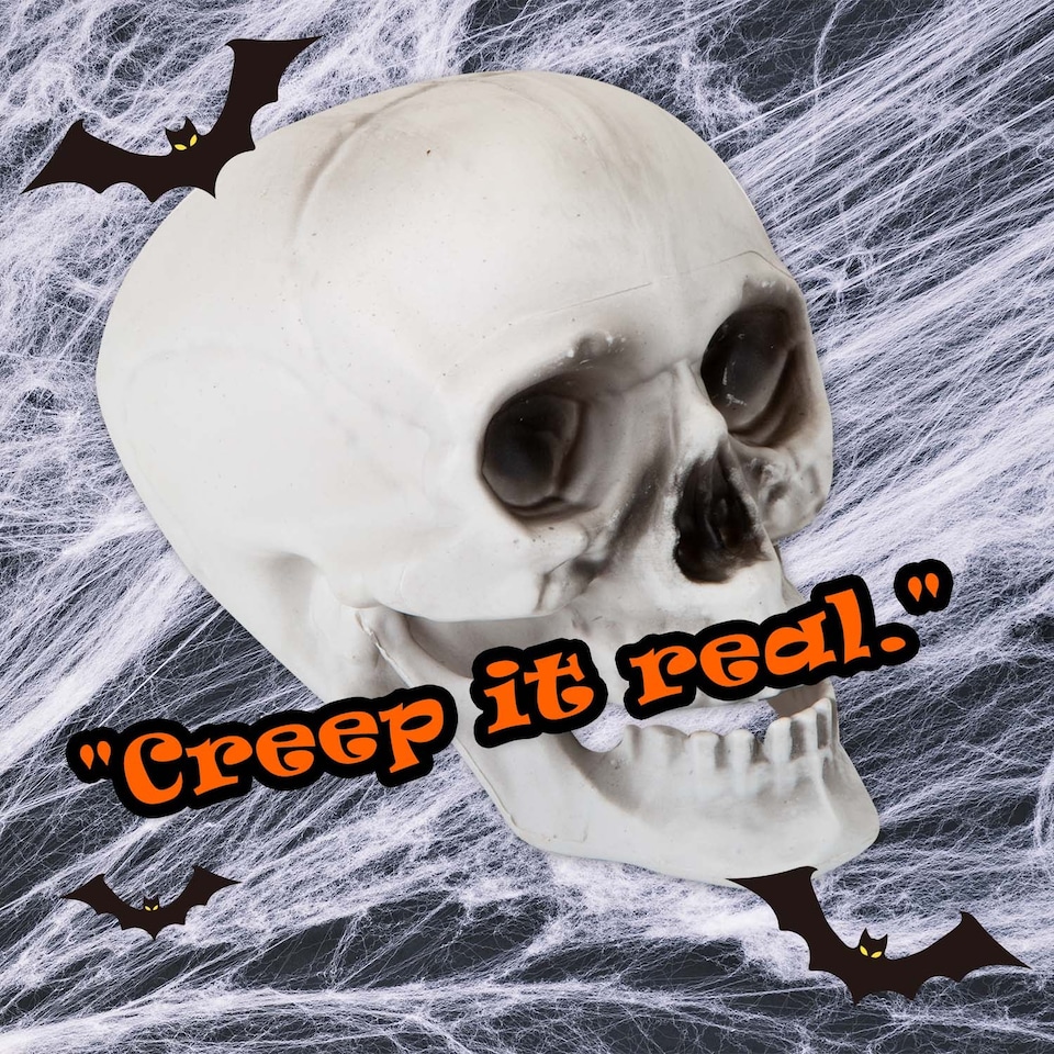 image 1 of vfm-estore Halloween Skull With Moving Jaw Decoration - White