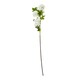 image 1 of Hill Interiors Snowball Viburnum Artificial Flower Spray - Cream - 77cm