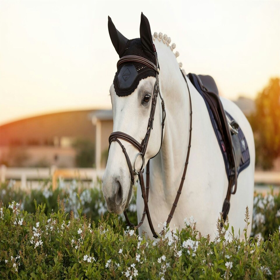 image 1 of LeMieux Elite Fly Hood Blue | Medium